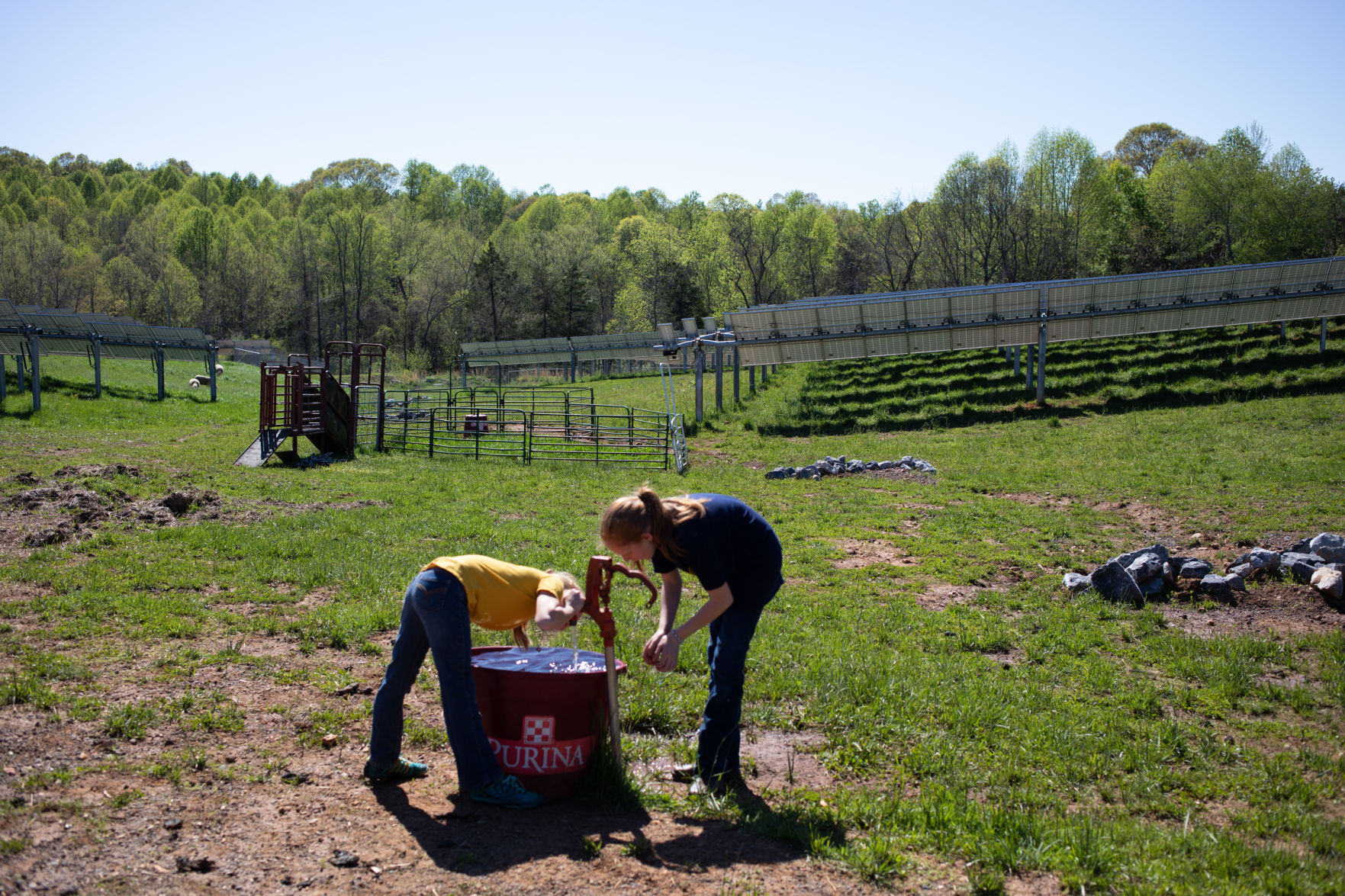 Sheep Farm_21.jpg